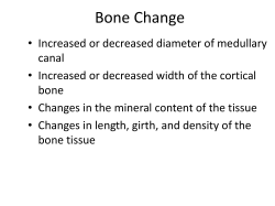 Healthy Bone Remodeling