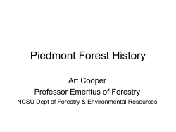 Piedmont Forest History