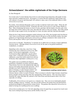 Schwartzbeeren: the edible nightshade of the Volga Germans