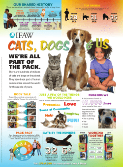 Cats, Dogs, and Us Classroom Poster