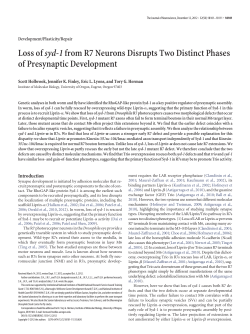 Loss ofsyd-1from R7 Neurons Disrupts Two Distinct Phases of