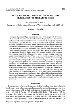 skylight polarization patterns and the orientation of migratory birds
