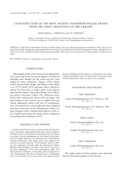 196-voro.vp:CorelVentura 7.0