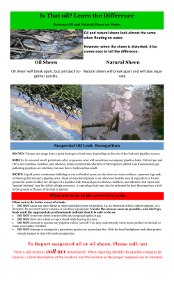 Is That oil? Learn the Difference