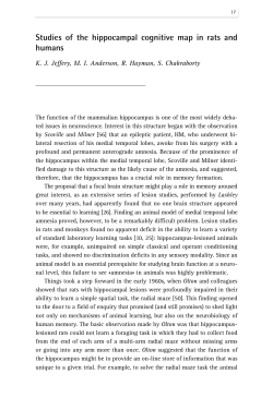 Studies of the hippocampal cognitive map in rats and humans