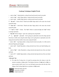 Guzheng Techniques English Words