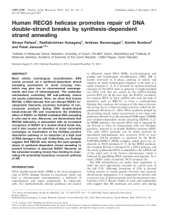 Human RECQ5 helicase promotes repair of DNA double