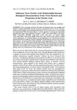 Influenza Virus Nucleic Acid: Relationship between