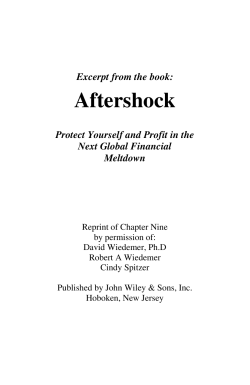 Excerpt from the book: Aftershock - Protect Yourself and Profit in the
