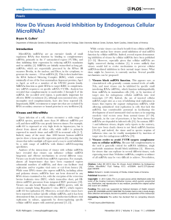 How Do Viruses Avoid Inhibition by Endogenous Cellular