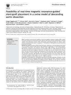 Feasibility of real-time magnetic resonance-guided stent