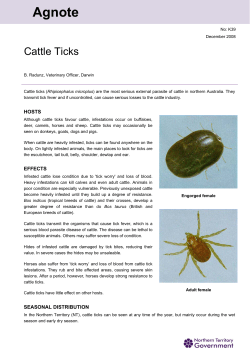Cattle Tick - Department of Primary Industry and Resources