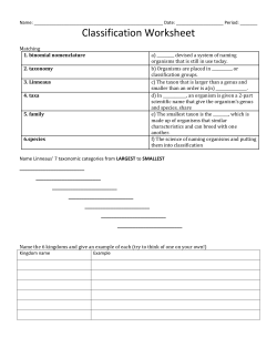 Classification Worksheet