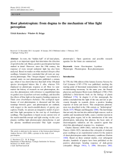Root phototropism: from dogma to the mechanism of blue light
