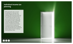 Individual income tax planning