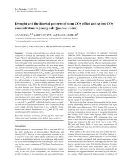 Drought and the diurnal patterns of stem CO2