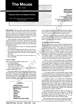 The Mouse Part 1 - The University of Adelaide