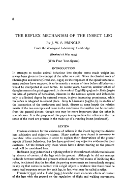 THE REFLEX MECHANISM OF THE INSECT LEG