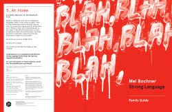 Mel Bochner Strong Language