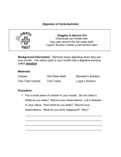 Digestion of Carbohydrates Background Information: Starches begin