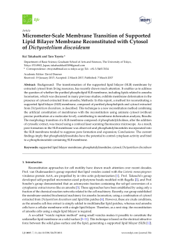 Micrometer-Scale Membrane Transition of Supported Lipid Bilayer