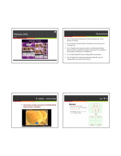 10.1 Meiosis (AHL) - hrsbstaff.ednet.ns.ca