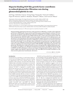 Heparin-binding EGF-like growth factor contributes to reduced