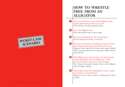 HOW TO WRESTLE FREE FROM AN ALLIGATOR