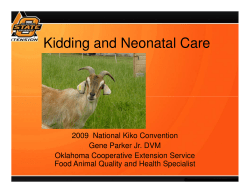 Kidding and Neonatal Care