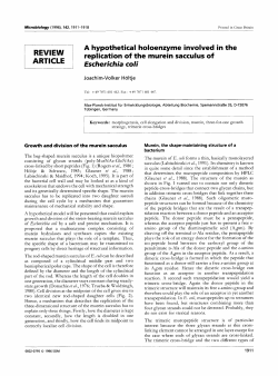 REVIEW ARTICLE A hypothetical holoenzyme involved in the