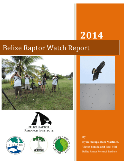 Belize Raptor Watch Report