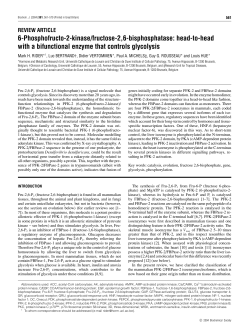 6-Phosphofructo-2-kinase/fructose-2,6-bisphosphatase: head