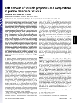 Raft domains of variable properties and compositions in plasma