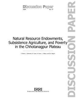 Natural resource endowments, subsistence agriculture, and poverty