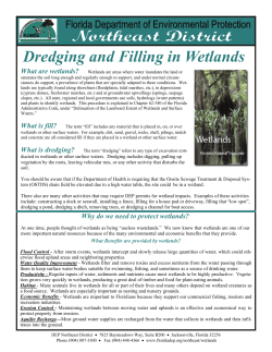 Dredging and Filling in Wetlands
