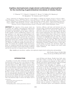 Capillary electrophoresis single-strand conformation polymorphism