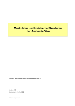 Muskulatur und kn&ouml;cherne Strukturen der Anatomie Vivo