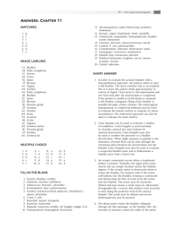 11 Chapter Workbook