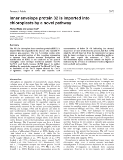 Inner envelope protein 32 is imported into chloroplasts by a novel