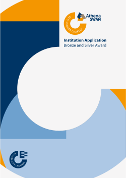 Bronze and Silver institution application form
