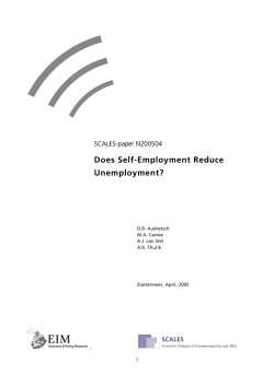 Does Self-Employment Reduce Unemployment?