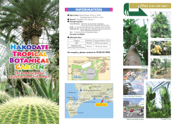 e botanical garden which can always feel summer INFORMATION