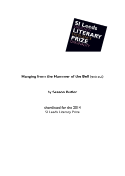 Hanging from the Hammer of the Bell