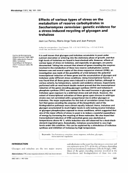 Effects of various types of stress on the metabolism of