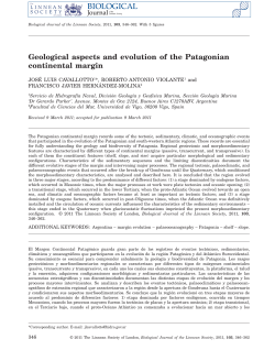 Geological aspects and evolution of the Patagonian continental