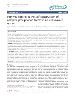 Pathway control in the self-construction of complex precipitation