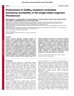 Endocytosis of GABAB receptors modulates membrane excitability