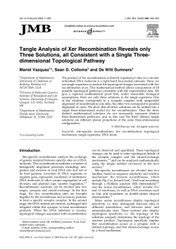 Tangle Analysis of Xer Recombination Reveals only Three Solutions