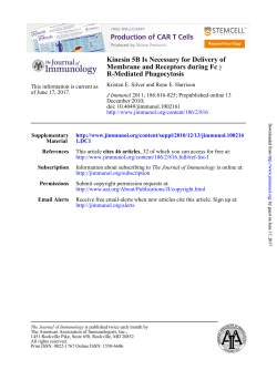 R-Mediated Phagocytosis &gamma; Membrane and Receptors during Fc