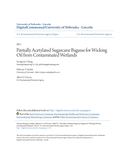 Partially Acetylated Sugarcane Bagasse for Wicking Oil from
